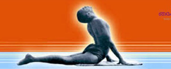 Sivananda Yoga